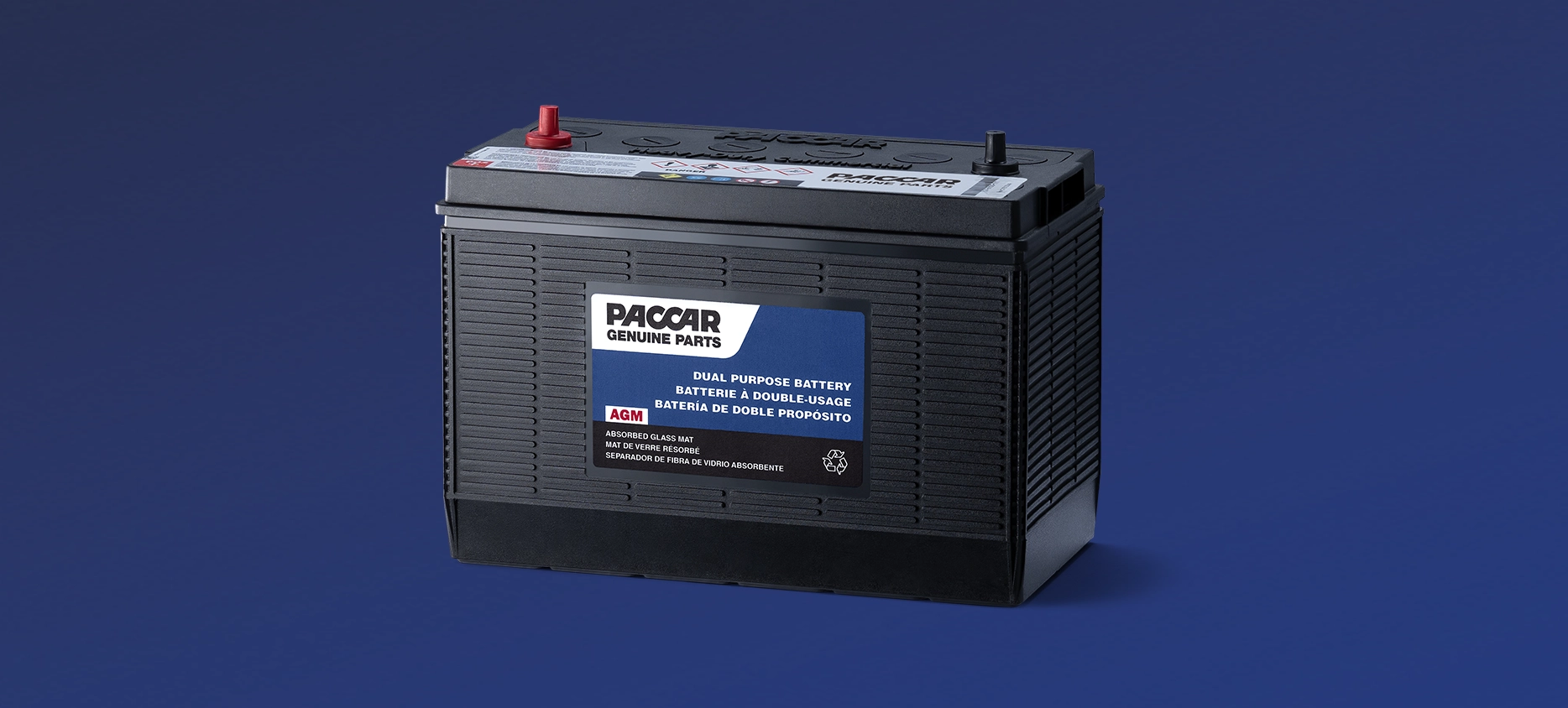 Paccar Genuine battery